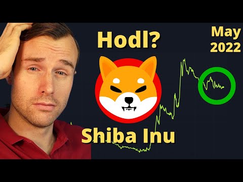 Keep Holding The Shiba Inu Coin? - A Crypto Analysis